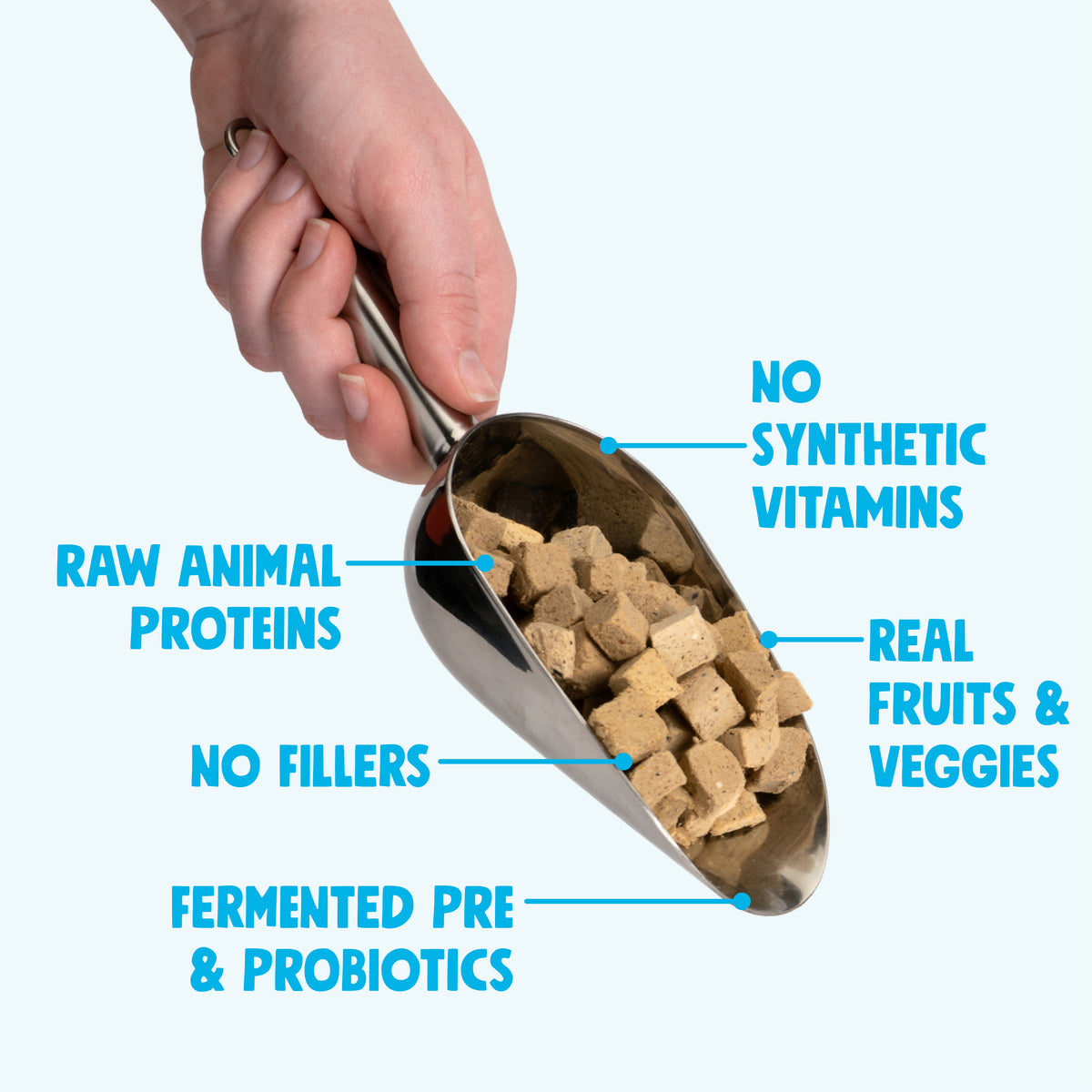 Beef Dog Food Topper